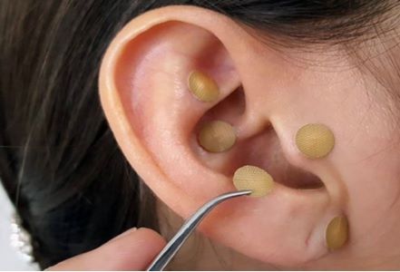 Imagen de Centro Mg Bienestar Holistico