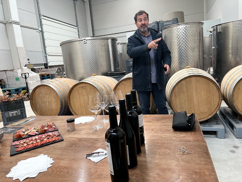 Imagen de Mas de Sella Bodega