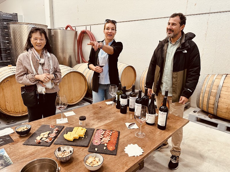 Imagen de Mas de Sella Bodega