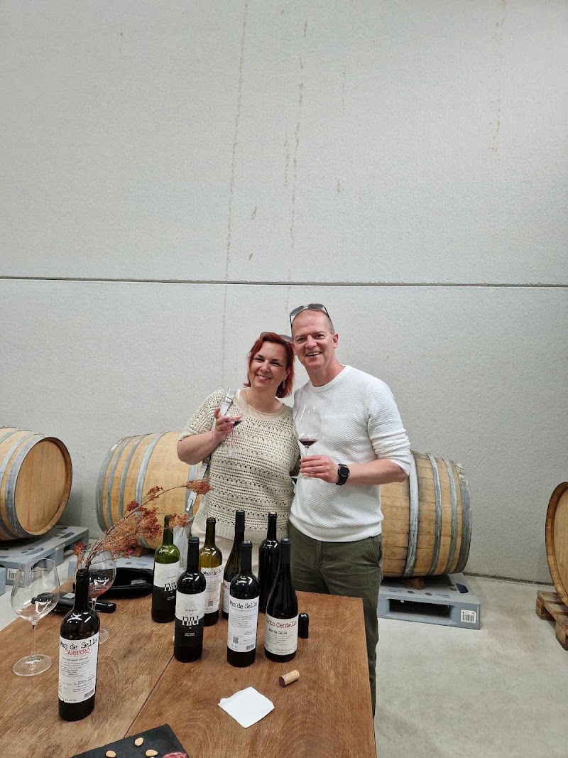 Imagen de Mas de Sella Bodega