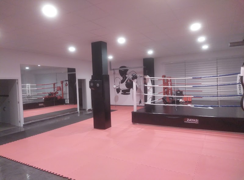 Imagen de negocio en Boxeo y kickboxing en Provincia de Alicante