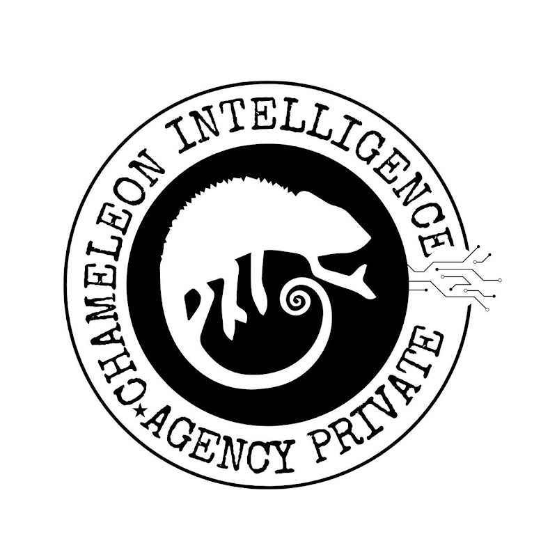 Imagen de Chameleon Intelligence