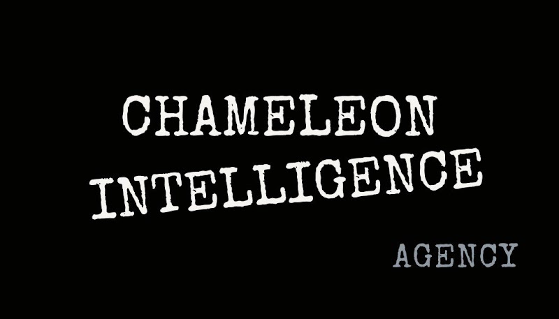 Imagen de Chameleon Intelligence