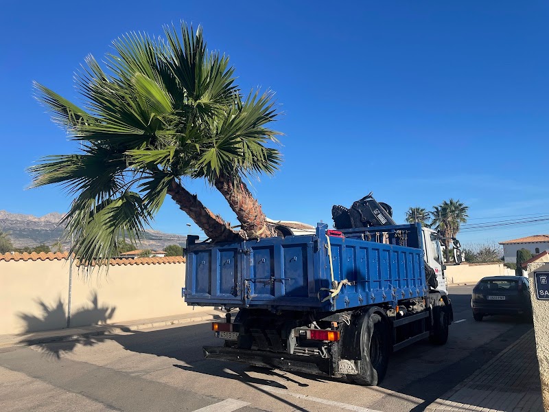 Imagen de Transportes Montalvo