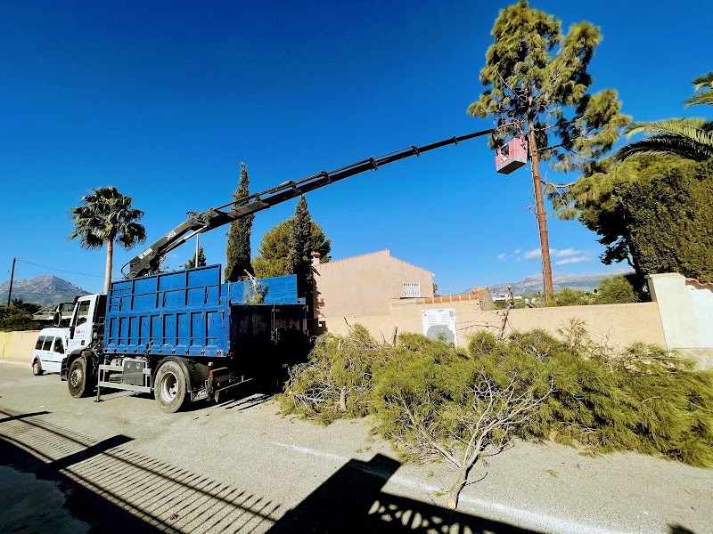 Imagen de Transportes Montalvo