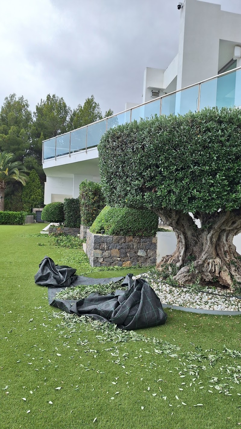 Imagen de negocio en Jardinería en Provincia de Alicante