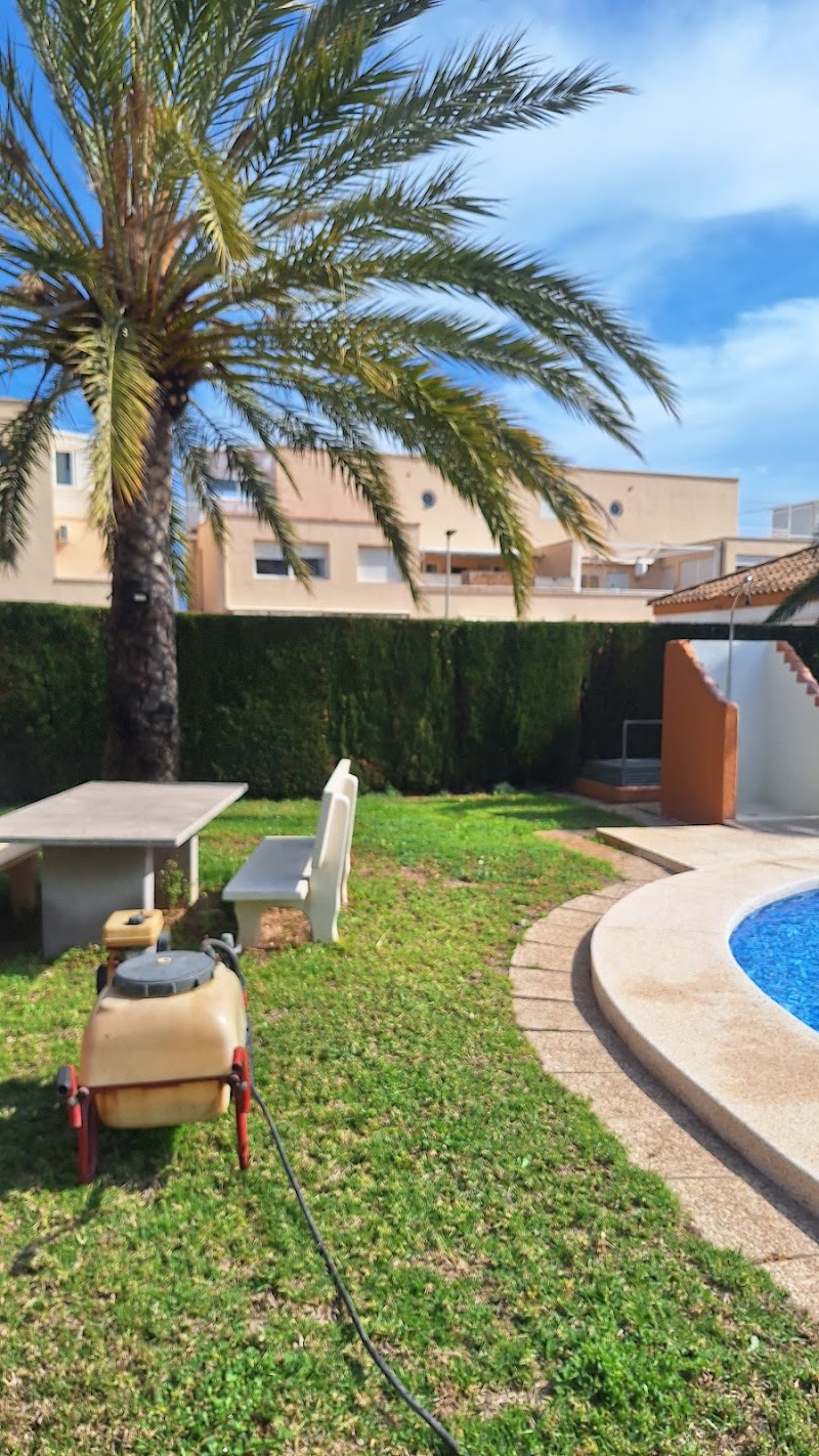 Imagen de negocio en Jardinería en Provincia de Alicante