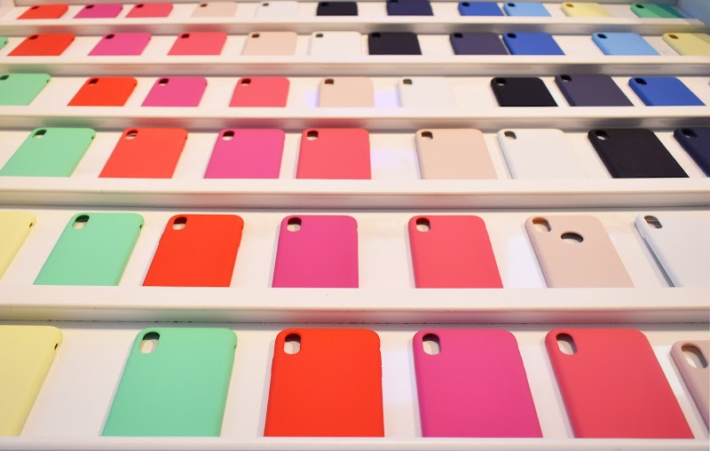 Imagen de La Casa de las Carcasas