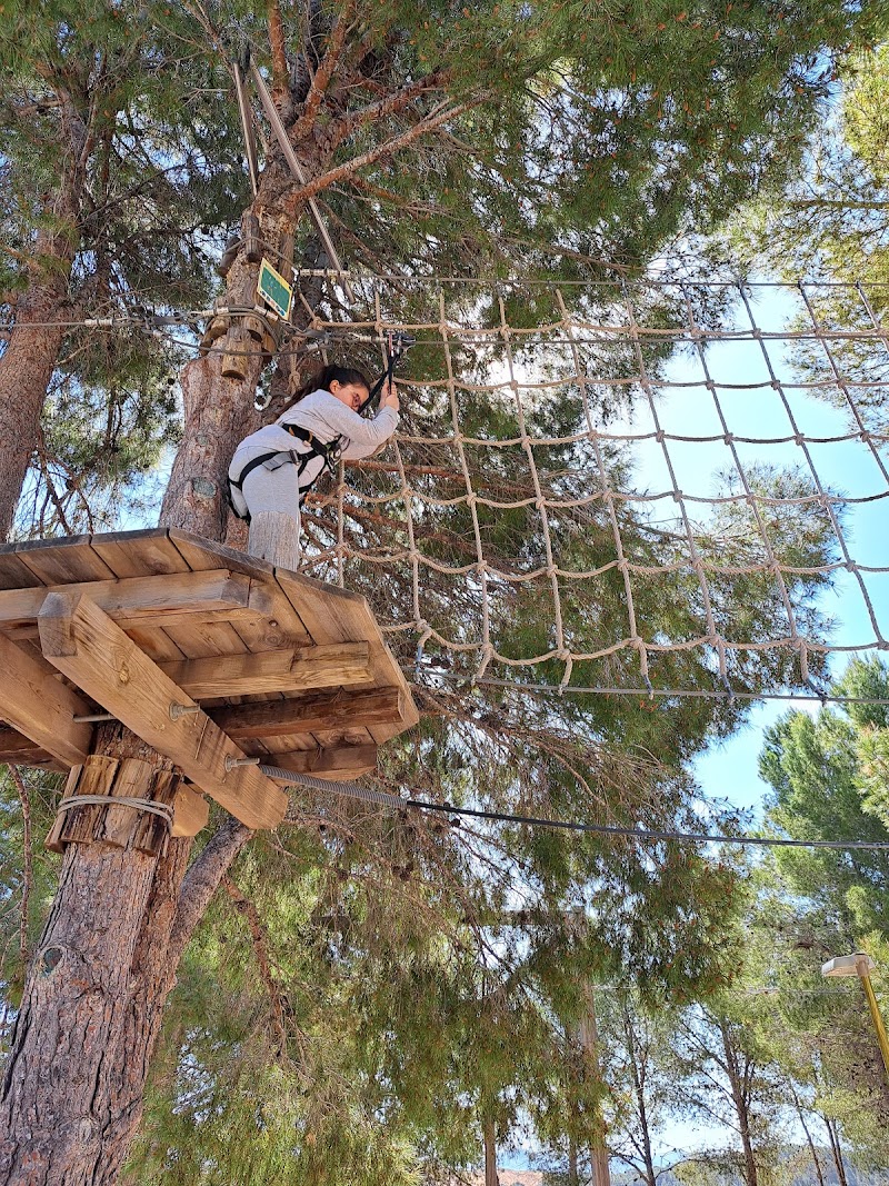 Imagen de Tirolinasgo Alicante Forestal Park