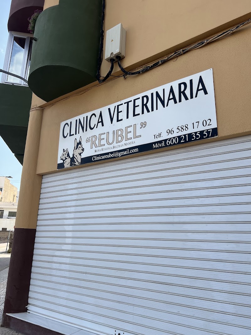 Imagen de negocio en Clínica veterinaria en Callosa de Ensarriá