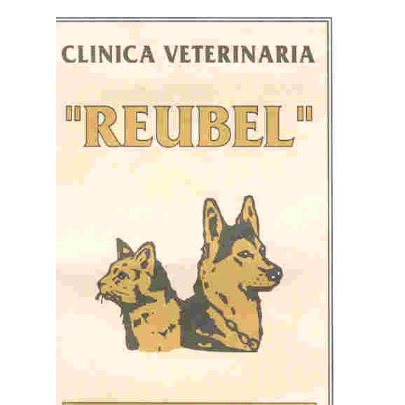 Imagen de negocio en Clínica veterinaria en Callosa de Ensarriá