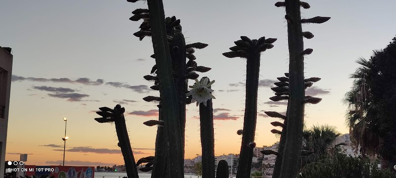 Imagen de Analehtola