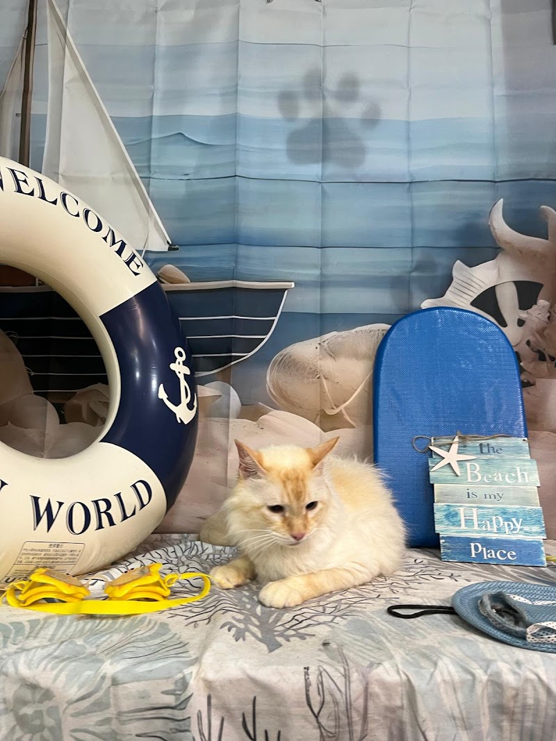 Imagen de La Huella / Peluqueria y Estetica Canina en Gandia / 2023