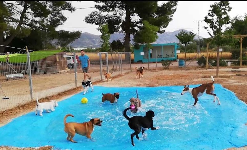 Imagen de El Maset Resort Caní