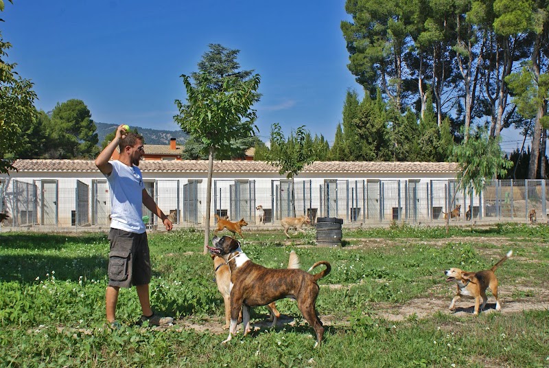 Imagen de El Maset Resort Caní