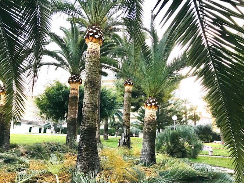 Imagen de negocio en Paisajismo en Beniarjó