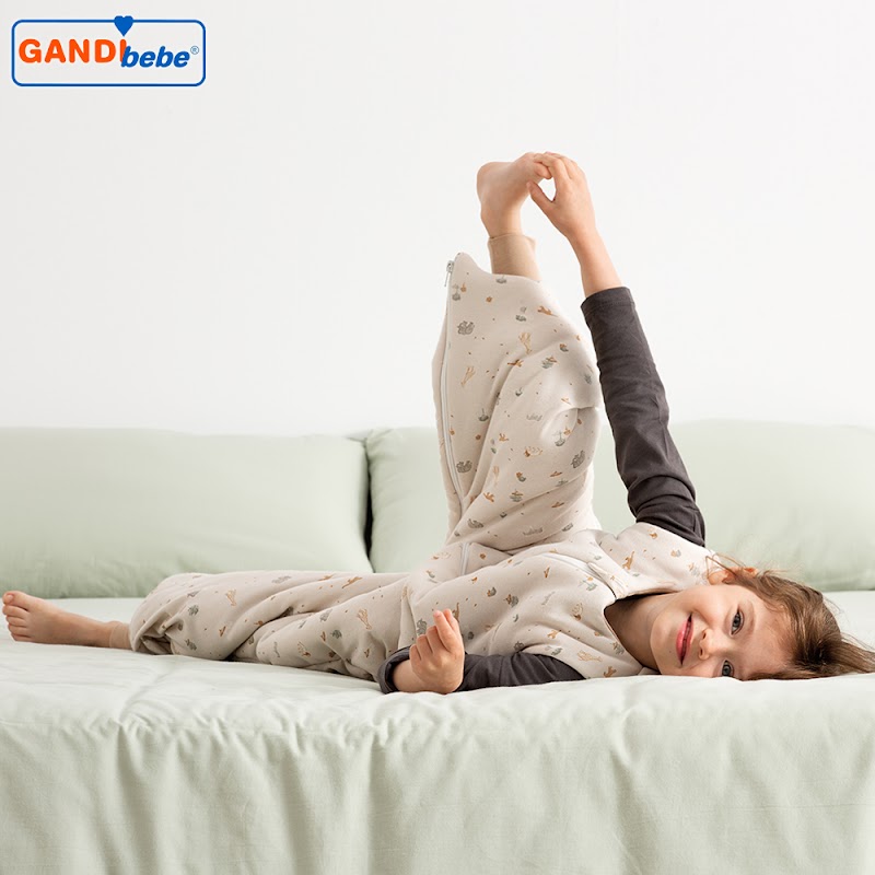 Imagen de Gandibebé