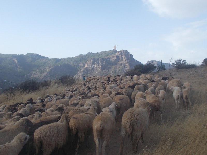Imagen representativa de la localización