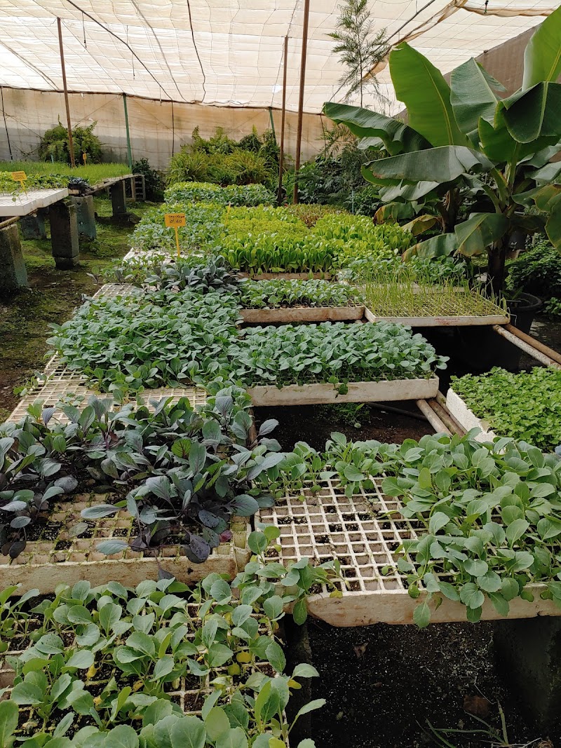 Imagen de Viveros Gáldar, S.l.