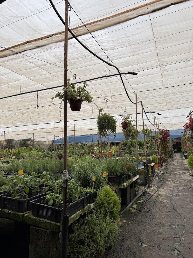 Imagen de Viveros Gáldar, S.l.