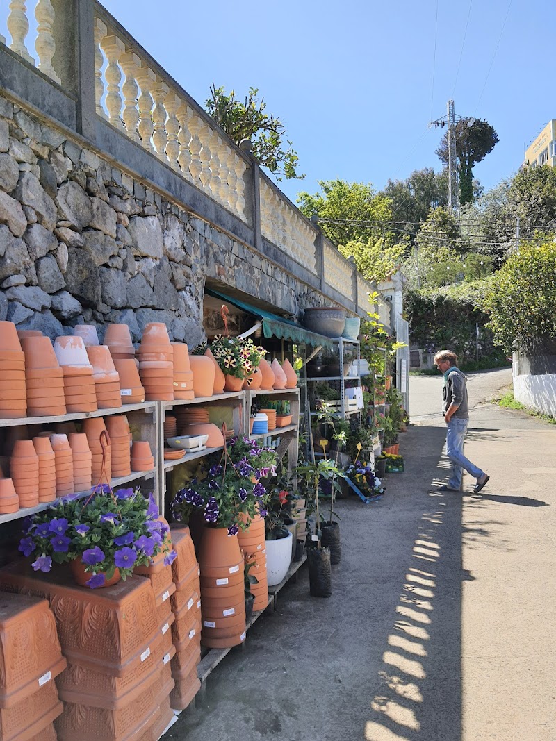 Imagen de Viveros Valleseco