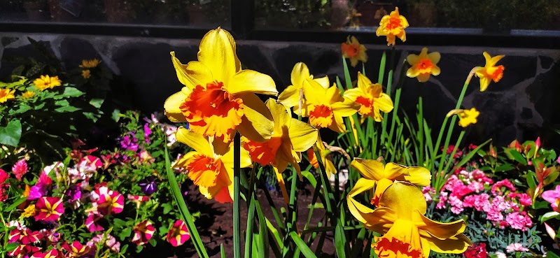 Imagen de Viveros Valleseco