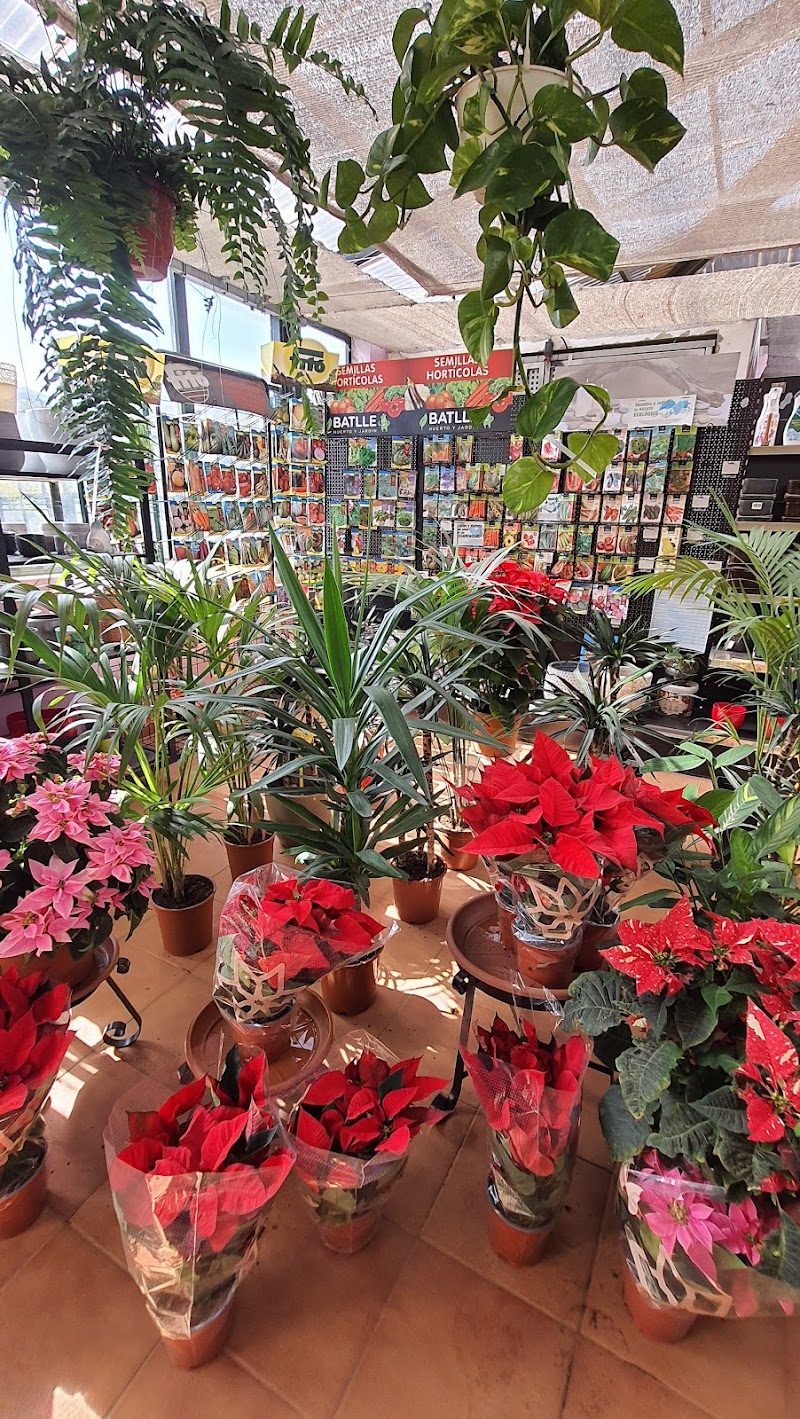 Imagen de Viveros Valleseco