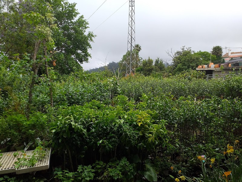 Imagen de Viveros Valleseco