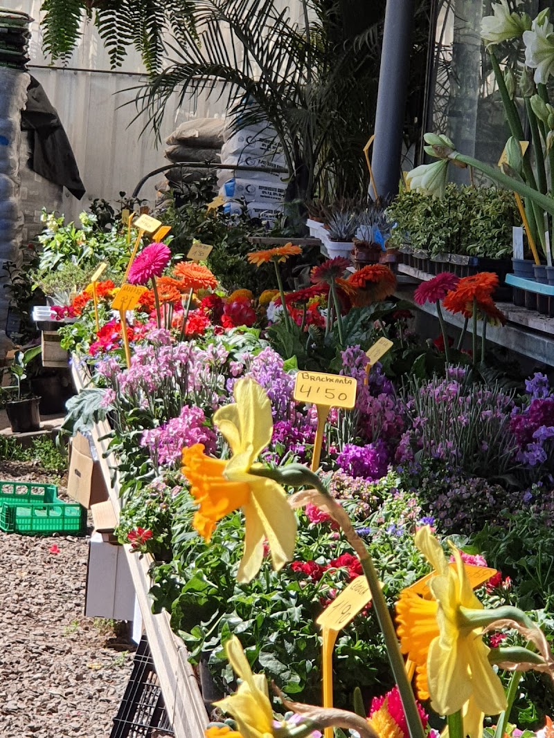 Imagen de Viveros Valleseco