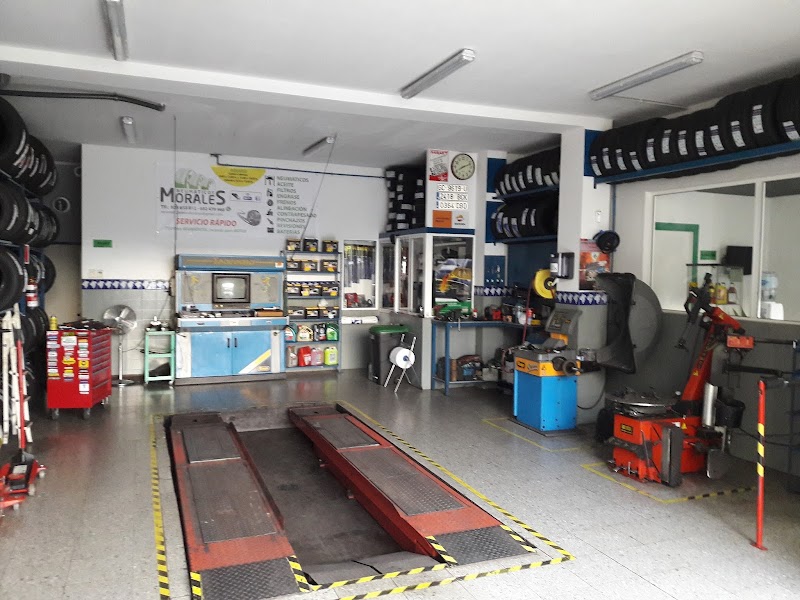 Imagen de Neumáticos Cruz ( Morales )