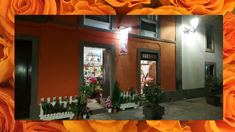 Imagen de negocio en Floristería en Provincia de Las Palmas