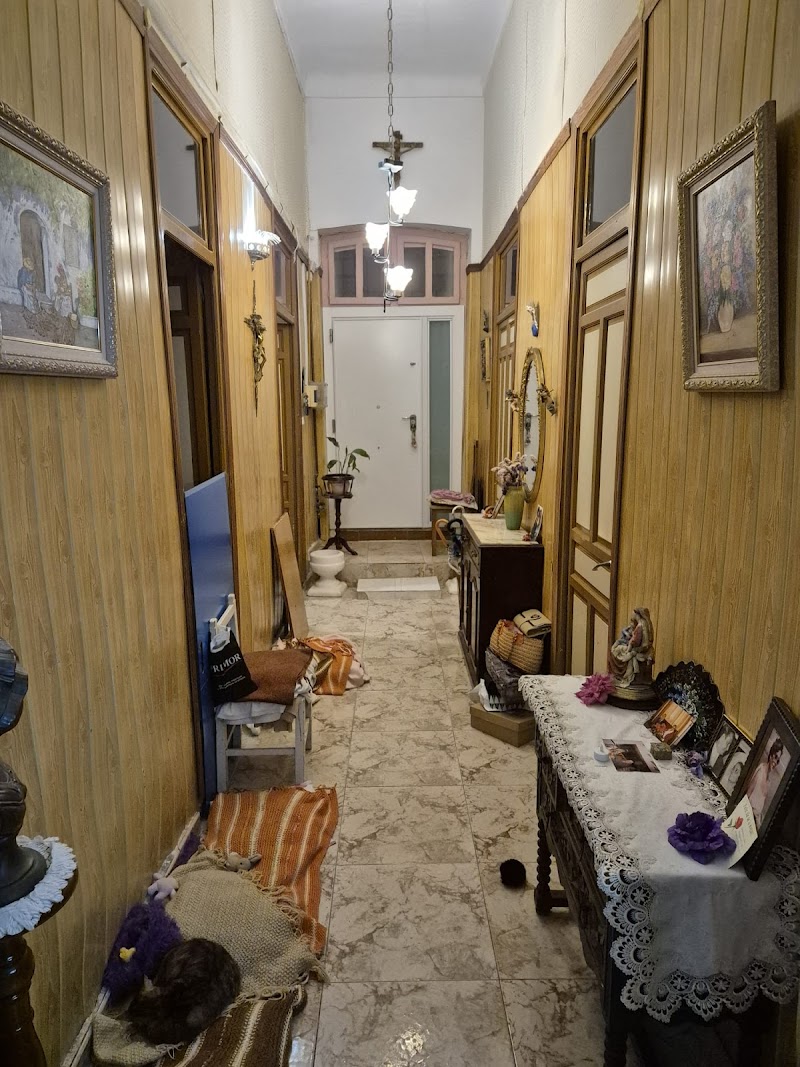 Imagen de El Vasko, Reformas y Limpiezas en Alicante