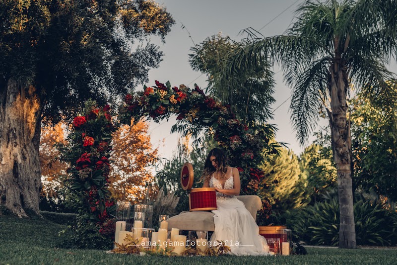 Imagen de Annlovents. Pasión por el Detalle