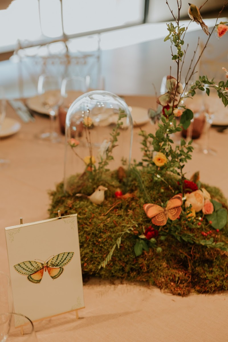 Imagen de Annlovents. Pasión por el Detalle