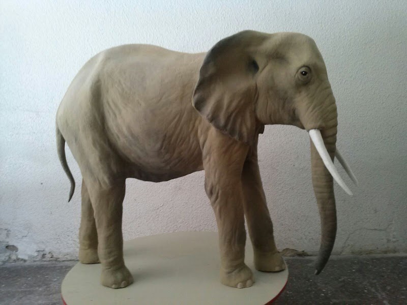 Imagen de Taller de Arte Federico Rico