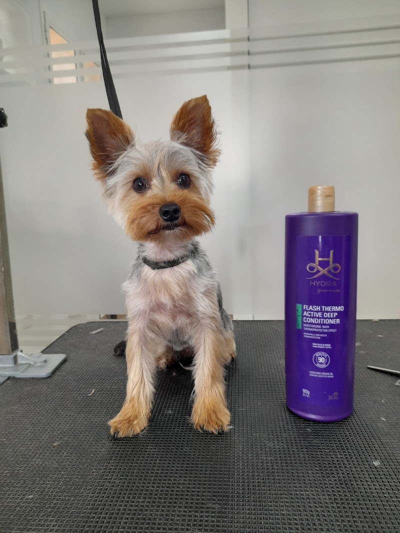 Imagen de Nuria Mj Estilista Canino