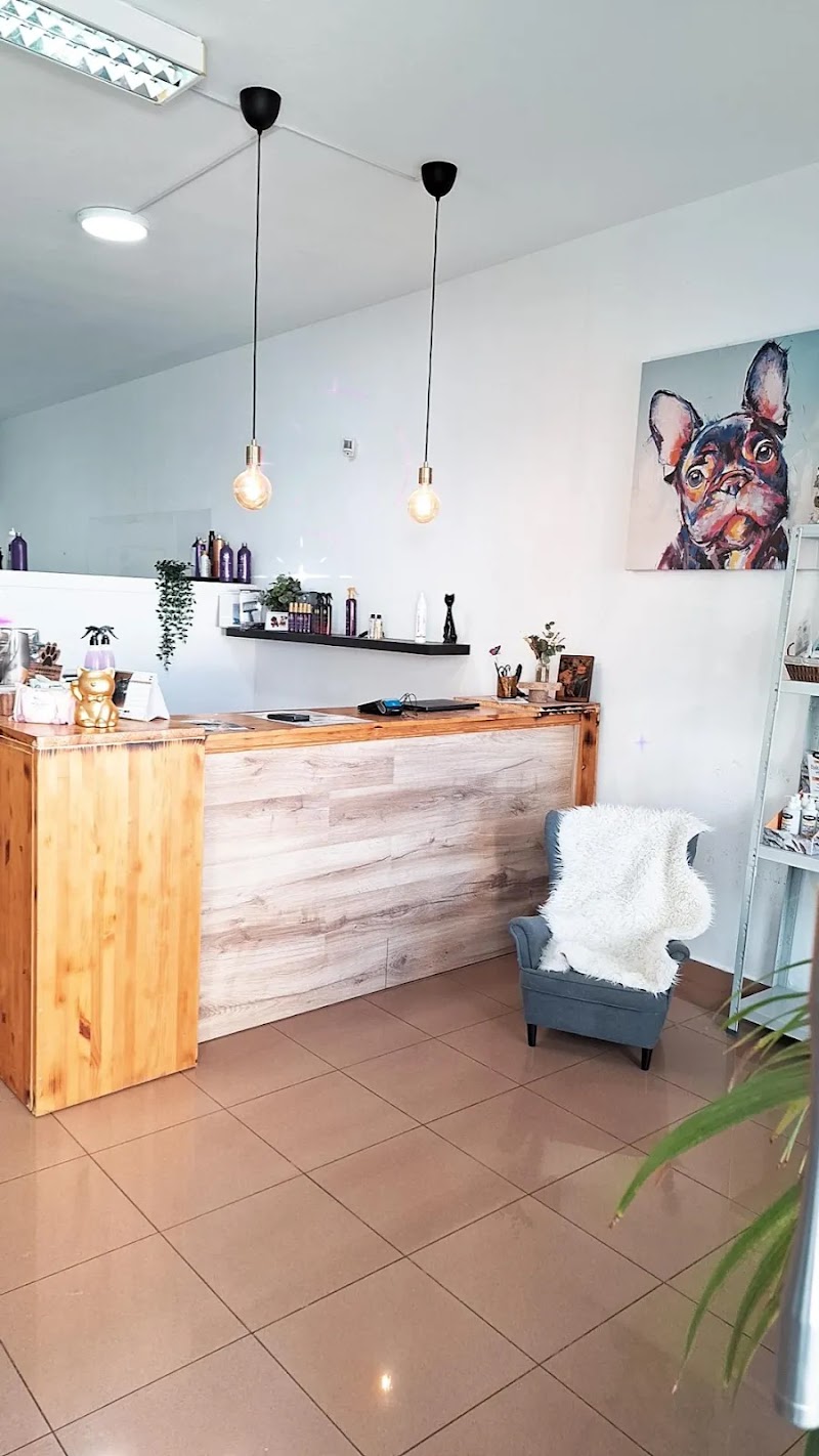 Imagen de Nuria Mj Estilista Canino