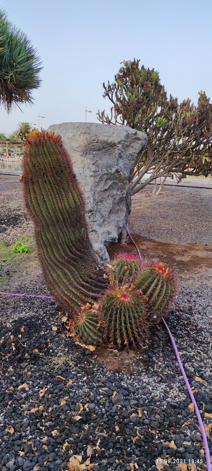 Imagen representativa de la localización
