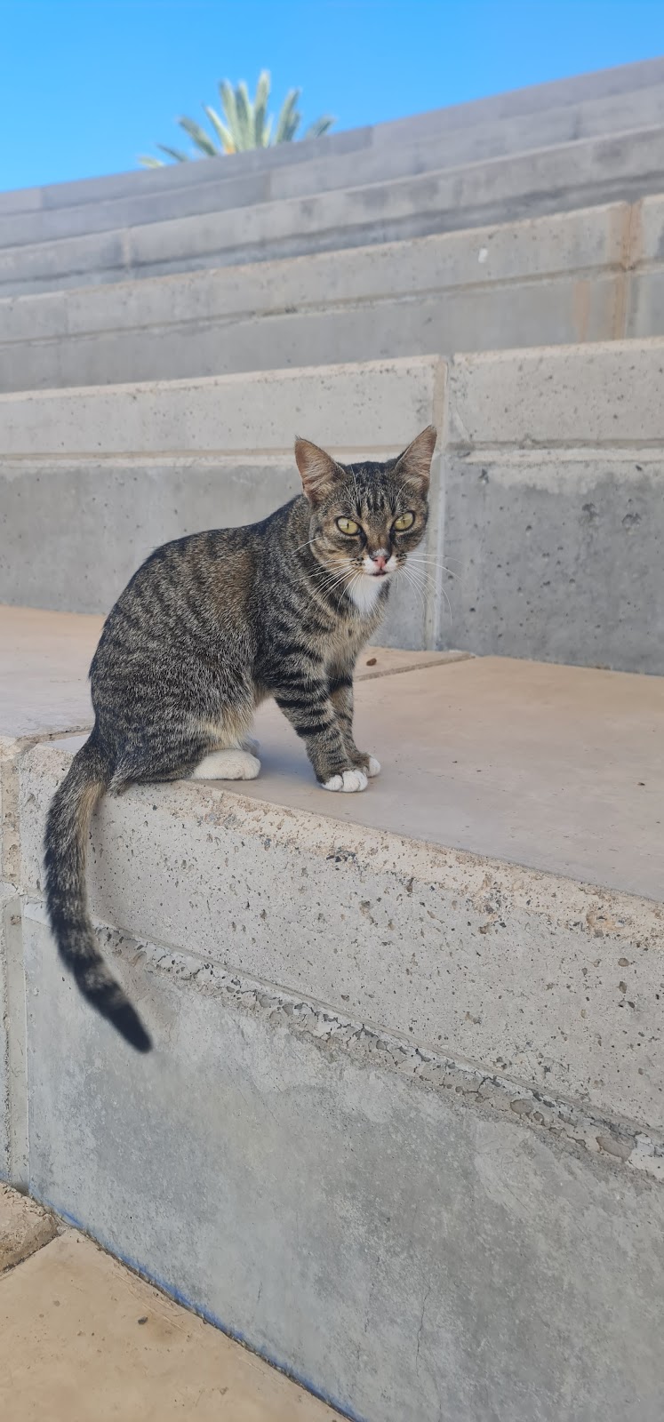 Imagen representativa de la localización