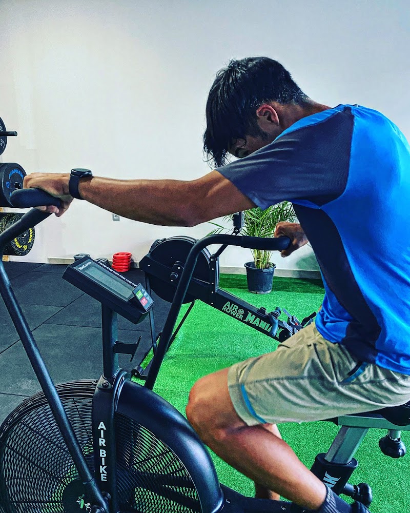 Imagen de Marinhotrainer