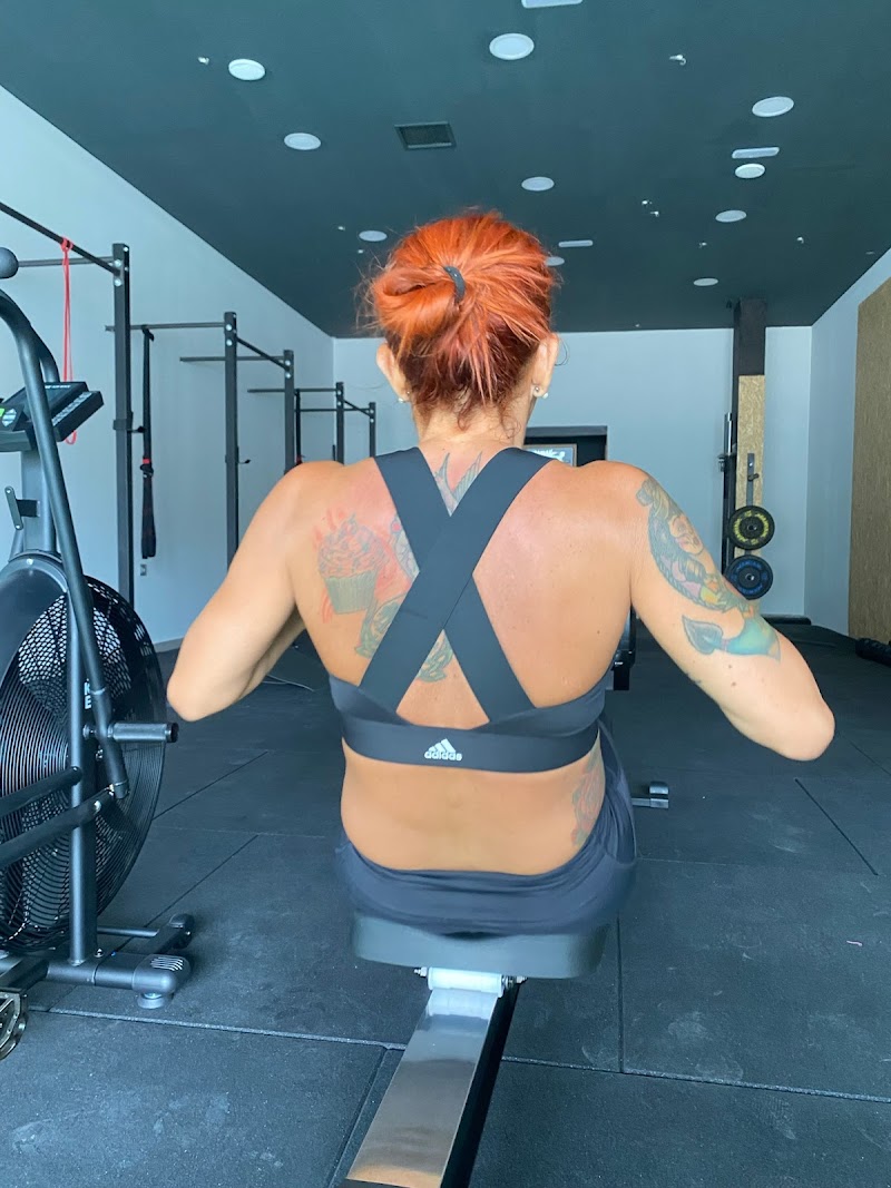 Imagen de Marinhotrainer