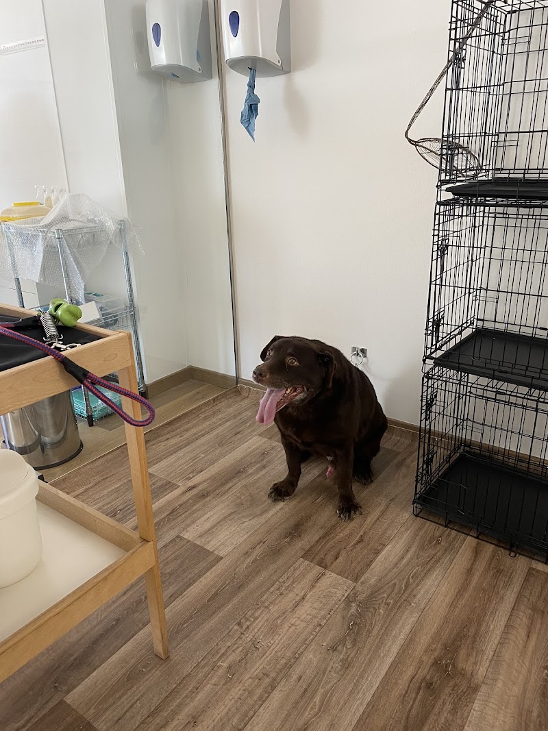 Imagen de Clínica Veterinaria Pet Point (viuda de Franco)