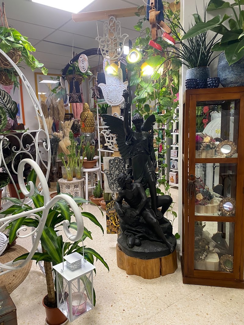 Imagen de negocio en Floristería en El Tablero