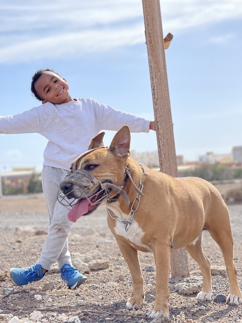 Imagen de Centro Veterinario Arinaga Playa