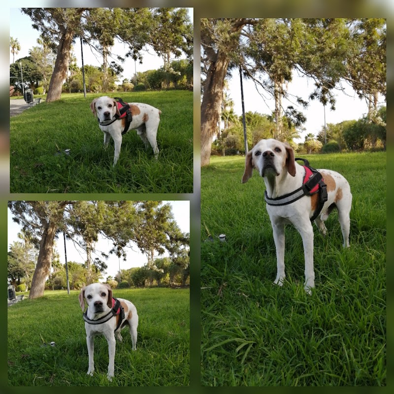 Imagen de Centro Veterinario Arinaga Playa