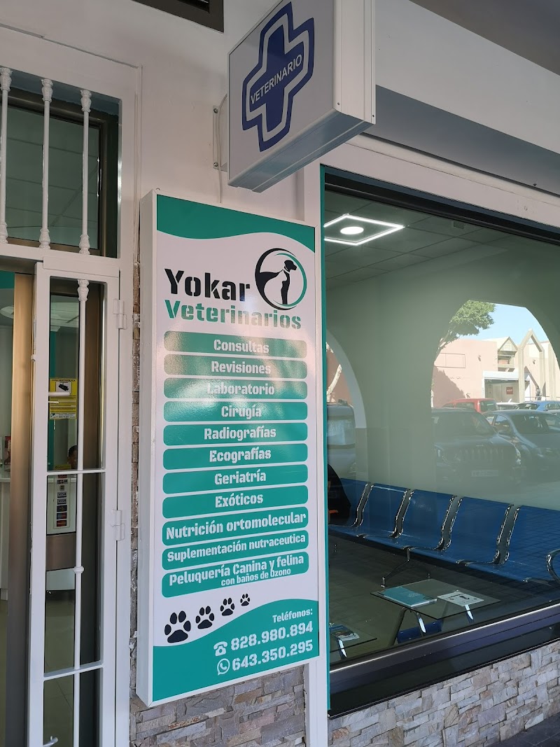 Imagen de negocio en Clínica veterinaria en Provincia de Las Palmas