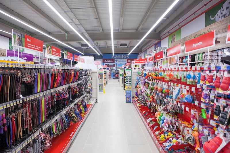 Imagen de Kiwoko. Mundo Animal