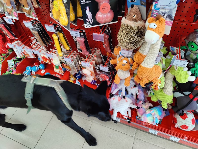 Imagen de Kiwoko. Mundo Animal