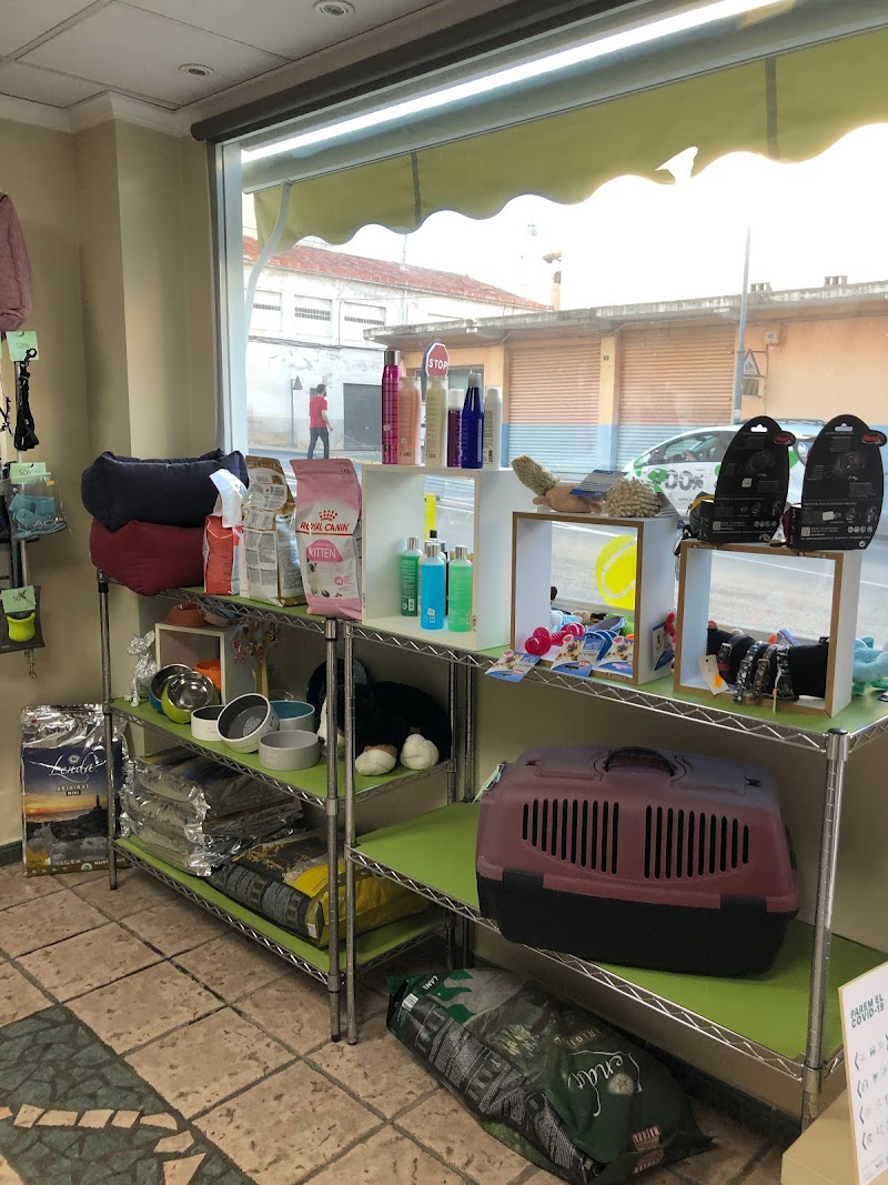 Imagen de Peluquería Canina y Felina Capicua