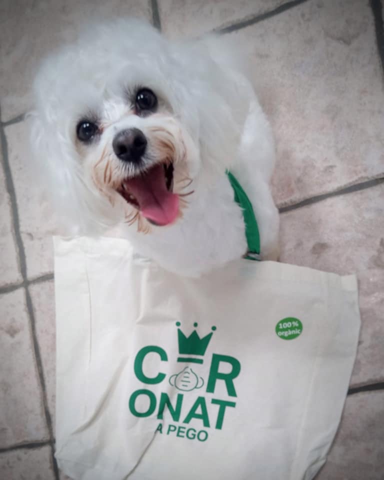 Imagen de Peluquería Canina y Felina Capicua